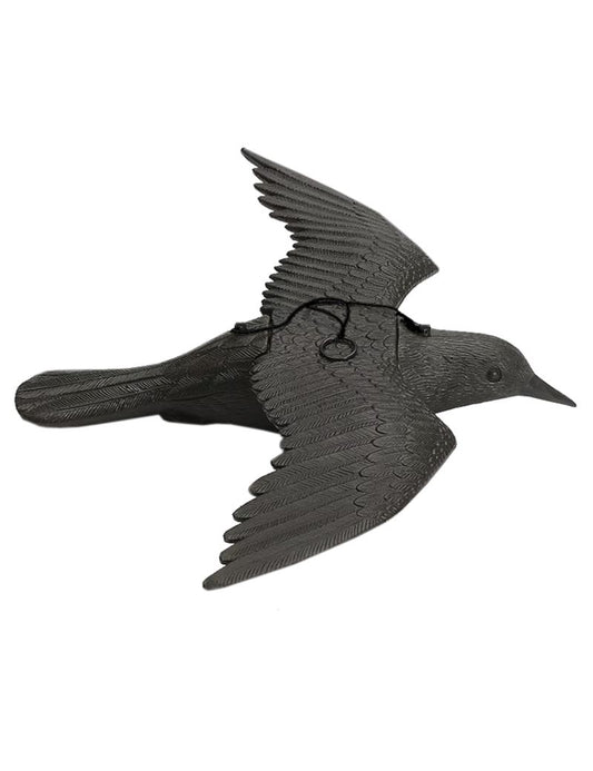 Varnos paukščių ir balandžių baidyklė, John Green