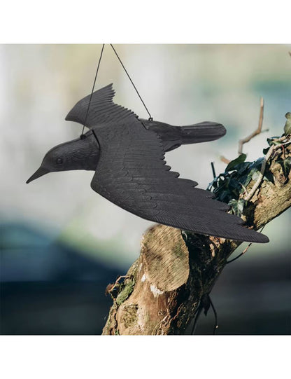 Varnos paukščių ir balandžių baidyklė, John Green