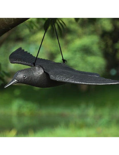 Varnos paukščių ir balandžių baidyklė, John Green