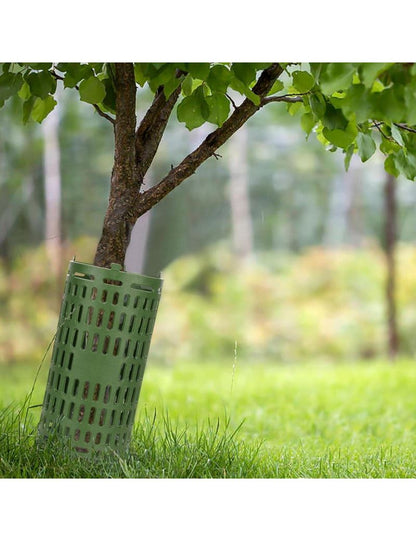 Medžių kelmų apsauga John Green, 6vnt.