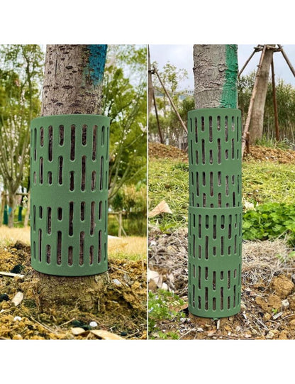 Medžių kelmų apsauga John Green, 6vnt.