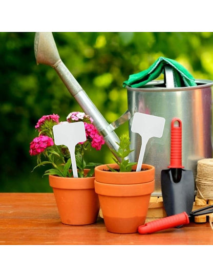 Baltos augalų etiketės John Green, 50vnt.