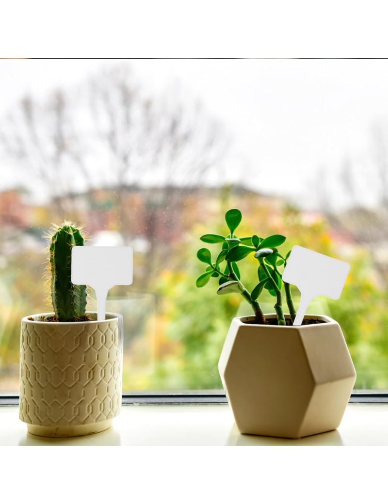 Baltos augalų etiketės John Green, 50vnt.