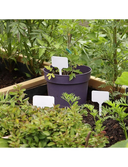 Baltos augalų etiketės John Green, 50vnt.